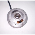 VOLANTE MAGNETICO MONTESA COTA 74