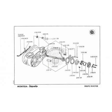 GRUPO SELECTOR TURISMO